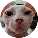 Lex